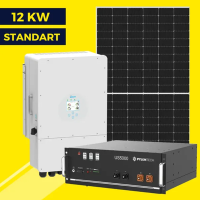 Гибридная солнечная станция на 12 кВт Standart | Deye 12 kw | LP Longi 450W 9006 фото