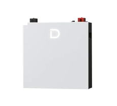 Акумуляторний модуль Dyness DL5.0C Pro 51,2V, 5,12 кВт*год з підігрівом DL5.0C-Pro фото