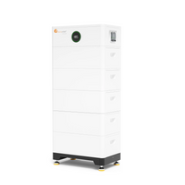 LUX-X-48100LMG01 Felicity  (LiFePO4 51,2V 100Ah 5kWh) HVC96050 фото